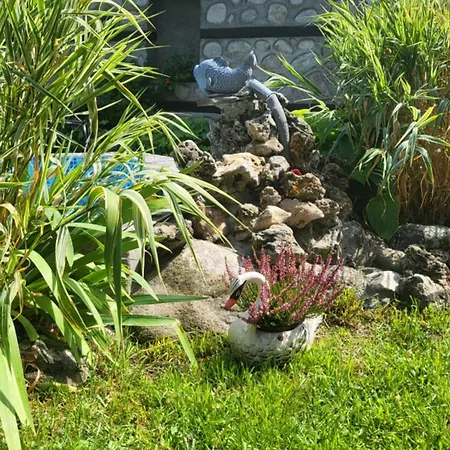 Pensión Boina House
