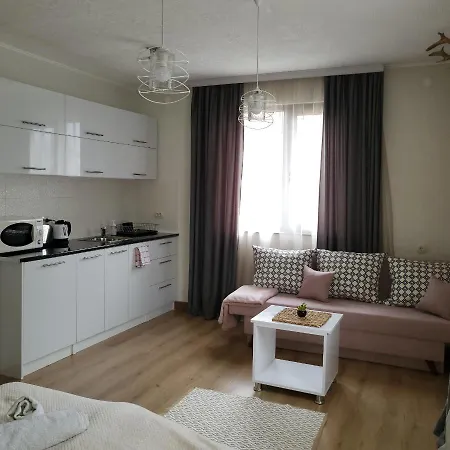 Boina House Гостьовий будинок Бансько