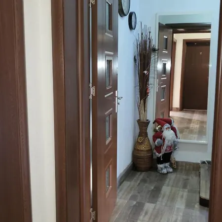 Boina House Гостьовий будинок Бансько