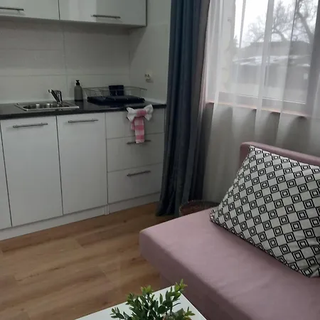 Boina House 게스트하우스 3*