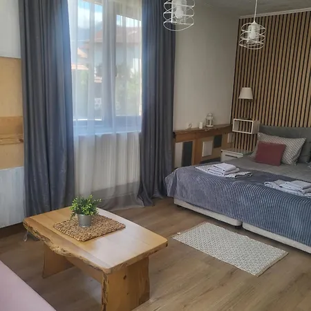 Гостьовий будинок Boina House Бансько