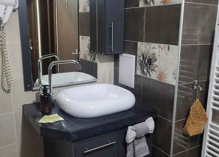 Pensionat Boina House Bansko